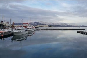Reykjavik: Self-Guided Audio Walking Tour