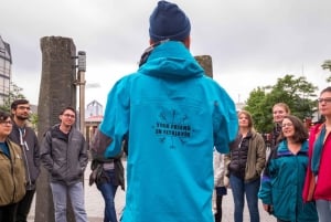 Reykjavik: Tour panoramico a piedi con un vichingo