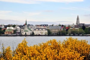 Reykjavik: Tour panoramico a piedi con un vichingo