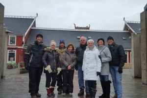 Reykjavik: Sightseeing Walking Tour with a Viking
