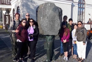 Reykjavik: Sightseeing Walking Tour with a Viking