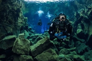 Рейкьявик: Погружение в расщелину Сильфра с факультативным трансфером