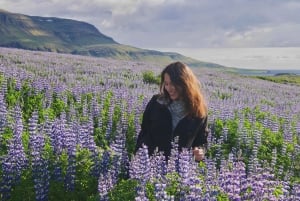 Reykjavik: Silver Circle Private Day Tour & Polaroid Photo