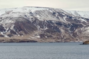 Reykjavik: Silver Circle Private Day Tour & Polaroid Photo