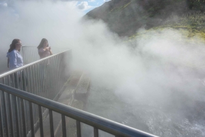 Reykjavik: Silver Circle Private Day Tour & Polaroid Photo