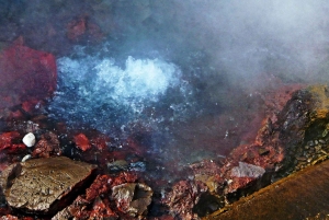 Reykjavik: Silver Circle Private Day Tour & Polaroid Photo