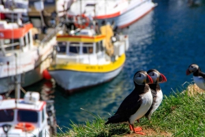 Reykjavik: Silver Circle Private Day Tour & Polaroid Photo