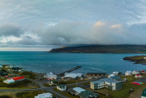 Reykjavik: Silver Circle Private Day Tour & Polaroid Photo