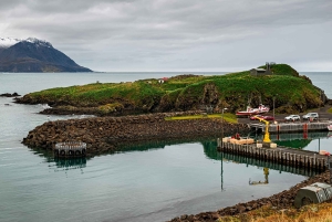 Reykjavik: Silver Circle Private Day Tour & Polaroid Photo