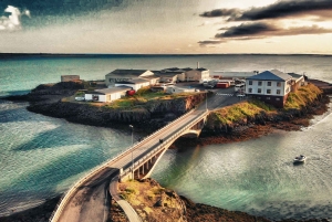 Reykjavik: Silver Circle Private Day Tour & Polaroid Photo
