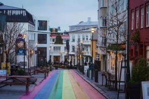 Reykjavik & Sky Lagoon (Pure Pass Entrance) - PRIVAT TUR