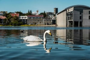 Reykjavik & Sky Lagoon (Pure Pass Entrance) - PRIVAT TUR