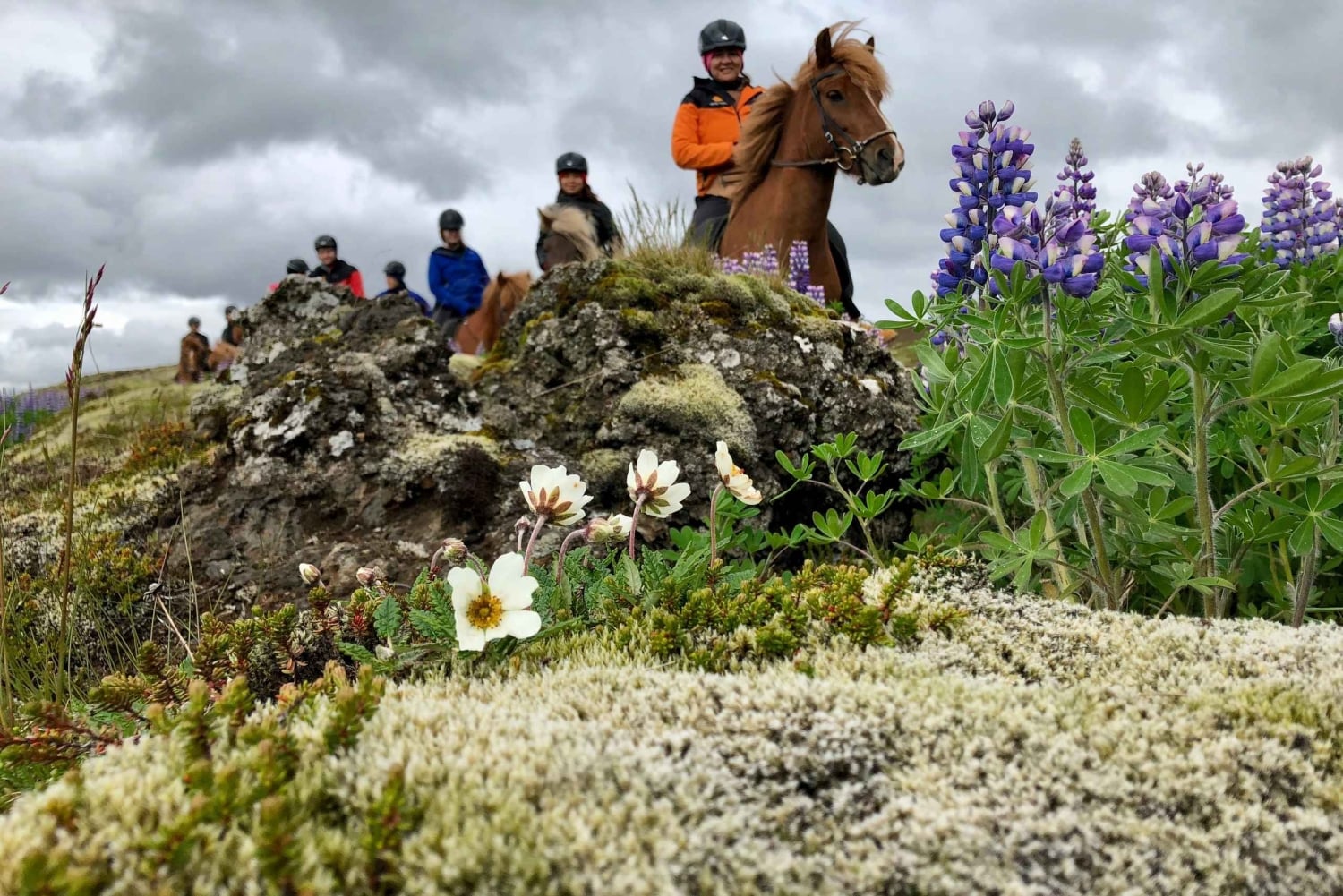 レイキャビク少人数制火山乗馬ツアー（送迎付き