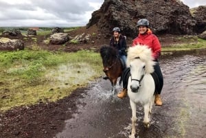 レイキャビク少人数制火山乗馬ツアー（送迎付き