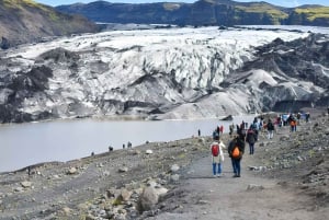 Reykjavik: Small Group South Coast Tour with Spanish Guide