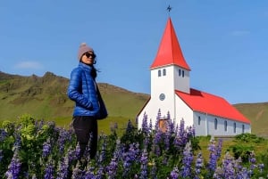 Reykjavík: Etelärannikon kierros pienessä ryhmässä espanjankielisen oppaan kanssa