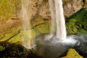 Reykjavík: niemieckojęzyczna wycieczka na ląd na południe Islandii w małej grupie