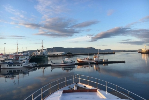 Reykjavik: Small-Group Whale Watching Cruise