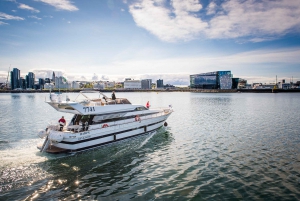 Reykjavik: Small-Group Whale Watching Cruise
