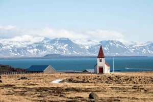 Reykjavik: Snaefellsnes & Mt. Kirkjufell Guided Minibus Tour