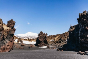 Reykjavik: Excursão guiada de microônibus a Snaefellsnes e ao Monte Kirkjufell