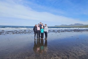 Reykjavik: Snaefellsnes-halvøen og Hvammsviks varme kilder