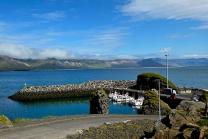 Reykjavik: Snæfellsnes Peninsula Private Tour with Guide