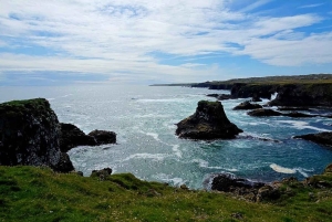 Reykjavik: Snæfellsnes Peninsula Private Tour with Guide