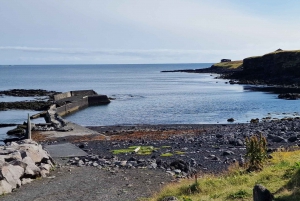 Reykjavik: Snaefellsnes-halvøen privat tur med lokale