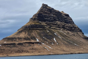 Reykjavik: Snaefellsnes-halvøen privat tur med lokale