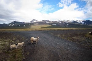 Reykjavik: Snaefellsnes Peninsula Super-Jeep Day Trip