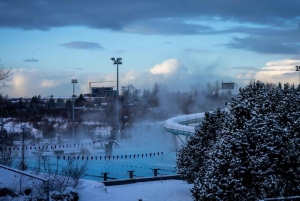 Matinée Soak & Sund et Cercle d'or privé depuis Reykjavík