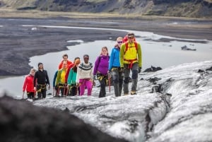 Reikiavik: Excursiones por la Costa Sur
