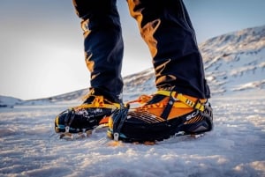 Reikiavik: Excursiones por la Costa Sur