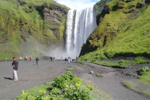 Reykjavik : Circuit d'aventure sur la côte sud
