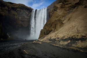 Reykjavik: South Coast Adventure Tours