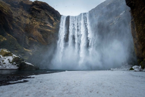 Reykjavik: South Coast and Katla Natural Ice Cave Tour