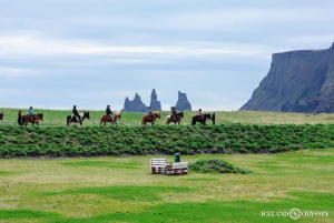 Reykjavik : Visite privée de la côte sud et du lagon glaciaire