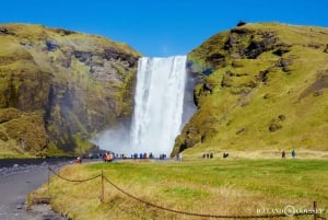 Reykjavik : Visite privée de la côte sud et du lagon glaciaire