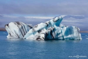 Reykjavik : Visite privée de la côte sud et du lagon glaciaire