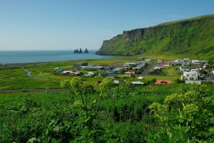 Reykjavik: South Coast Private Guided Car Tour