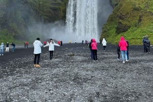 From Reykjavik: Private South Coast Tour