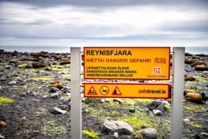 Reykjavik : visite de la côte sud avec un guide chinois