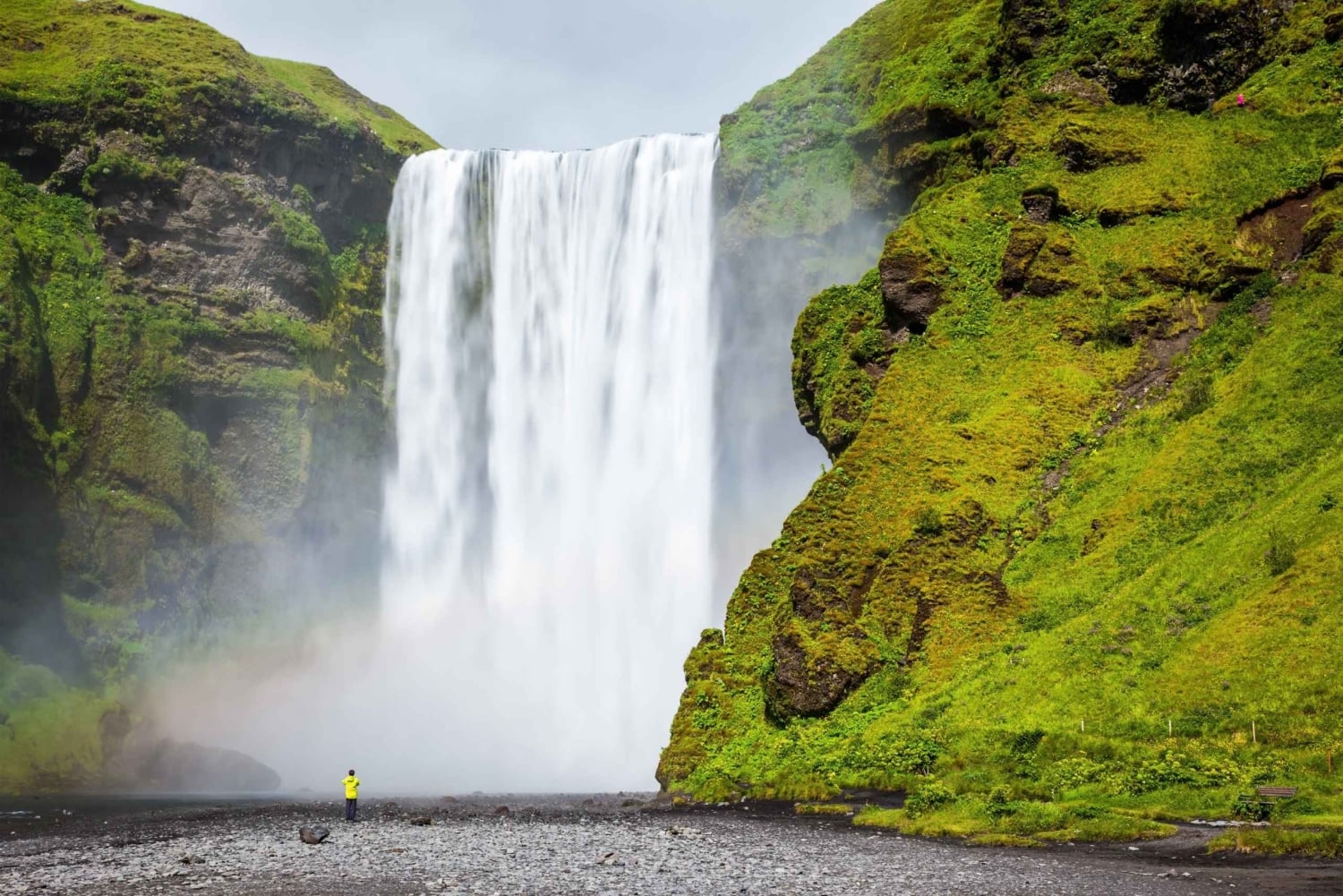 Reykjavík: tour della costa sud con cascate e spiaggia nera