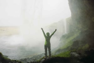 Reykjavík: tour della costa sud con cascate e spiaggia nera