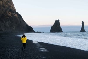 Reykjavík: tour della costa sud con cascate e spiaggia nera