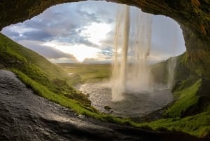 Reykjavík: tour della costa sud con cascate e spiaggia nera