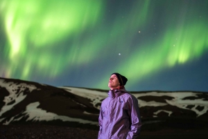 Reykjavík: Sydkystens vidundere og nordlystur