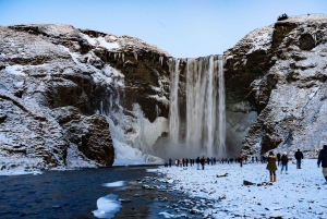 Reykjavík: Sydkystens vidundere og nordlystur