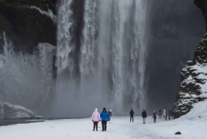 Reykjavík: Sydkystens vidundere og nordlystur